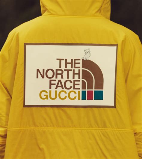 gucci northface.|gucci north face collaboration.